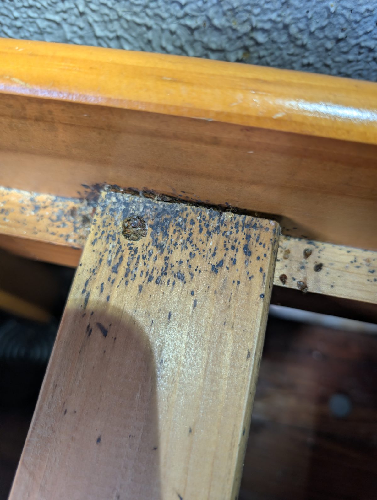 Photo of bed bug fecal spots on a furniture joint
